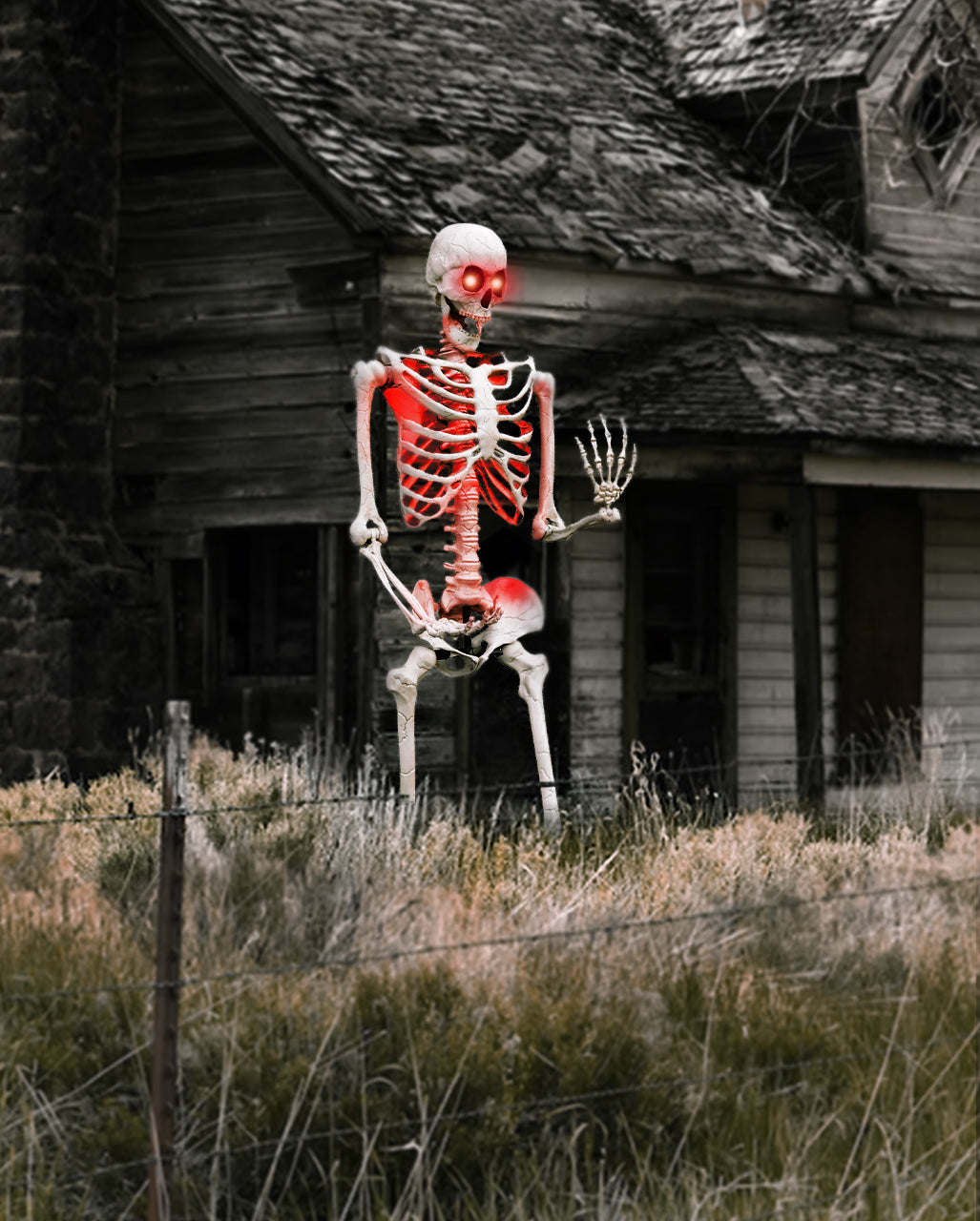 Giant Skeleton Outdoor Decoration