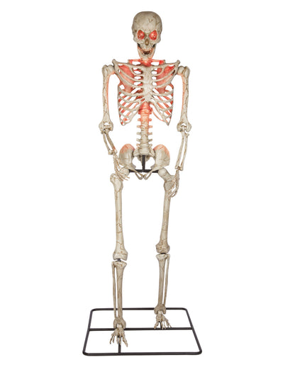 Giant Skeleton Outdoor Decoration